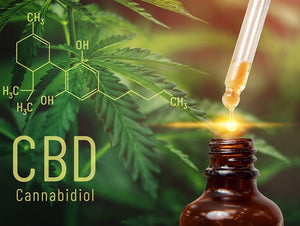CBD Öl