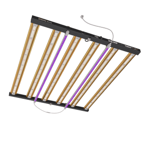 XPLORE SERIES 730W LED 2.7
