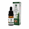 PLANT OF REMEDY CBD-Öl in Arganöl - 20% CBD