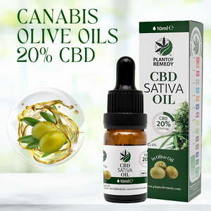 Plant of Remedy OLIVENÖL MIT 20% CBD 10ML