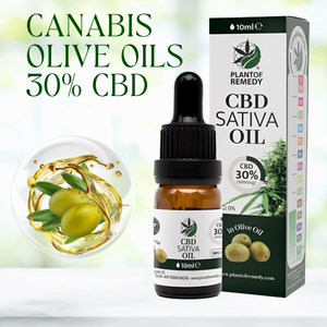 Plant of Remedy OLIVENÖL MIT 30% CBD 10ML