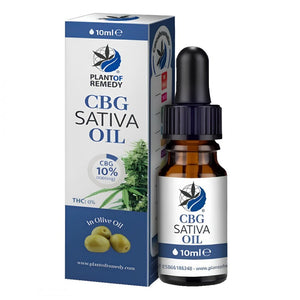 Plant of Remedy OLIVENÖL MIT CBG 10% 10ML